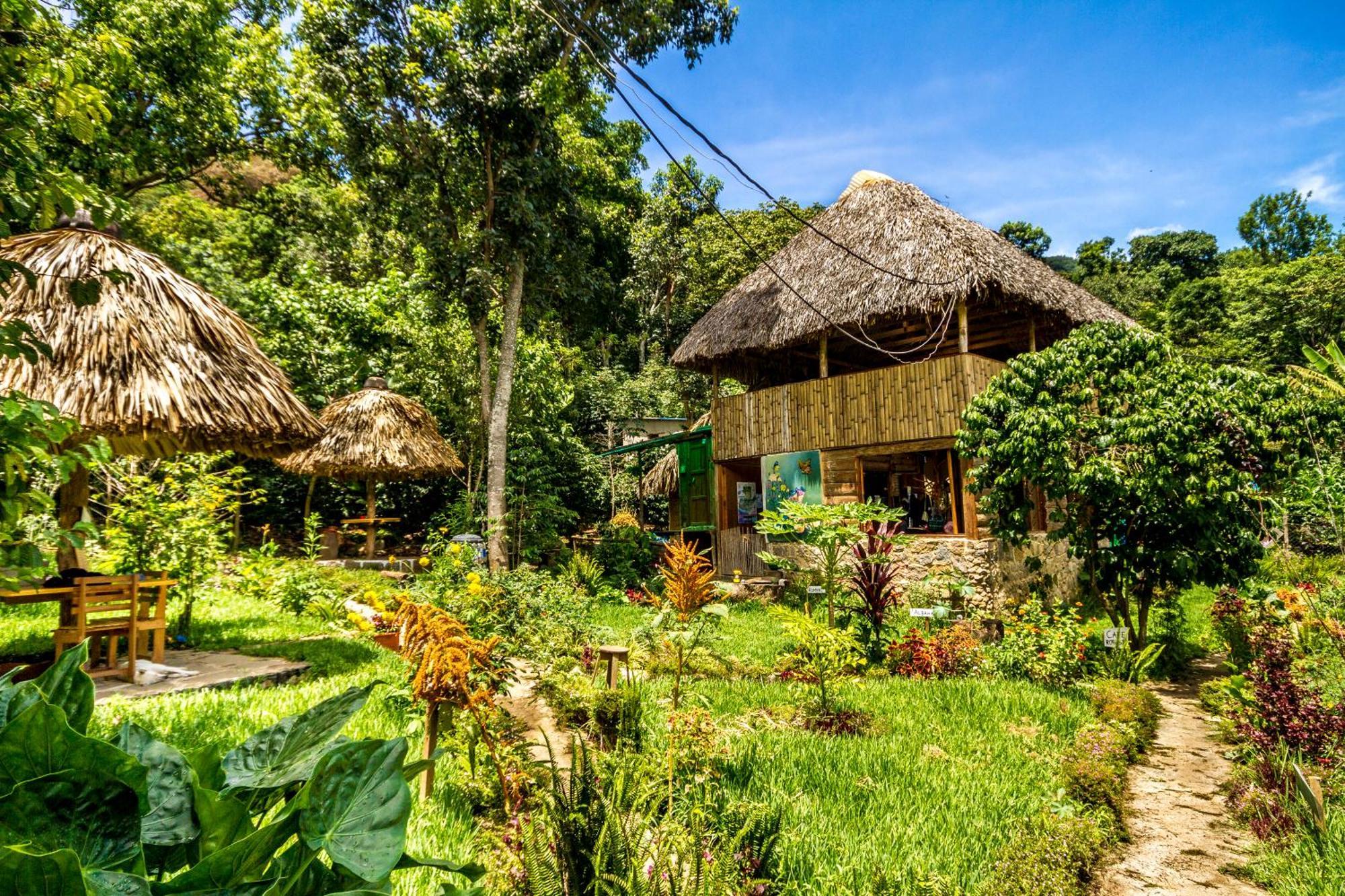 Eco-Hotel Mayachik ซานฮวนลาลากูนา ภายนอก รูปภาพ