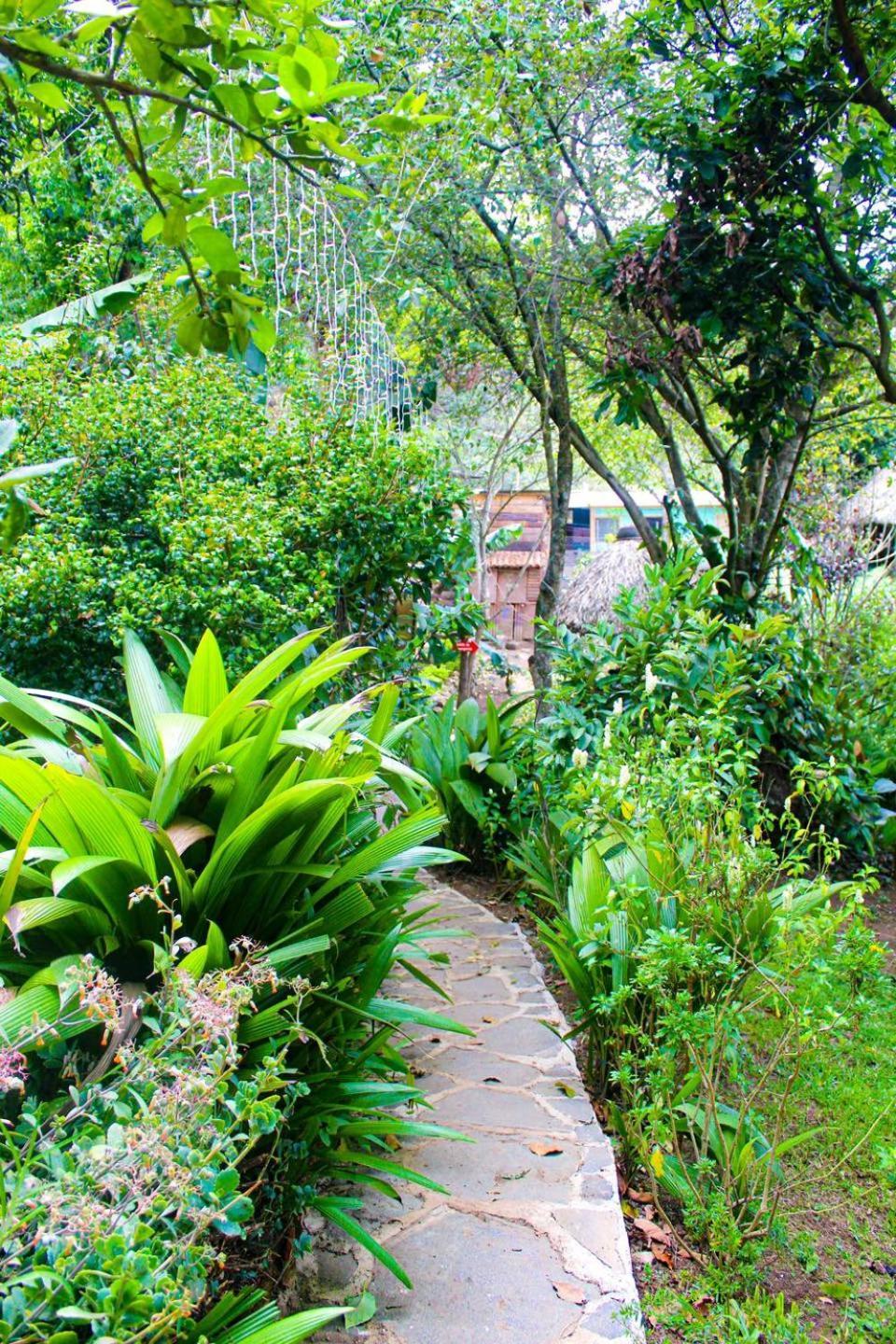 Eco-Hotel Mayachik ซานฮวนลาลากูนา ภายนอก รูปภาพ