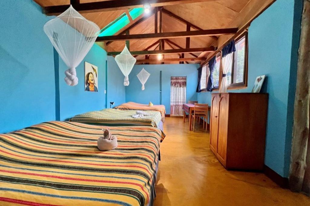 Eco-Hotel Mayachik ซานฮวนลาลากูนา ภายนอก รูปภาพ